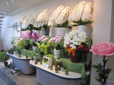 「スワン生花店」　（群馬県みどり市）の花屋店舗写真3