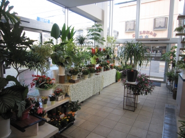 「スワン生花店」　（群馬県みどり市）の花屋店舗写真4